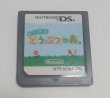 Photo4: Nintendo DS game Animal Crossing import Japan  (4)