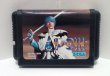 Photo1: SEGA GENESIS Fantasy Star3 only cartridge import Japan  (1)