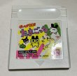 Photo4: Gameboy Game de Hakken Tamagocchi  import Japan  (4)