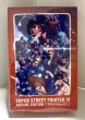 Photo1: Street Fighter 4 Arcade Edition All Star Playing Cards (1)