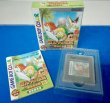 Photo1: GBC Legend Of Zelda Link’s Awakening DX with box (1)