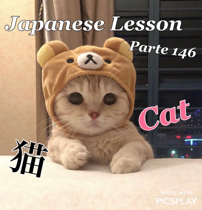 New video Japanese Lesson video part 146
